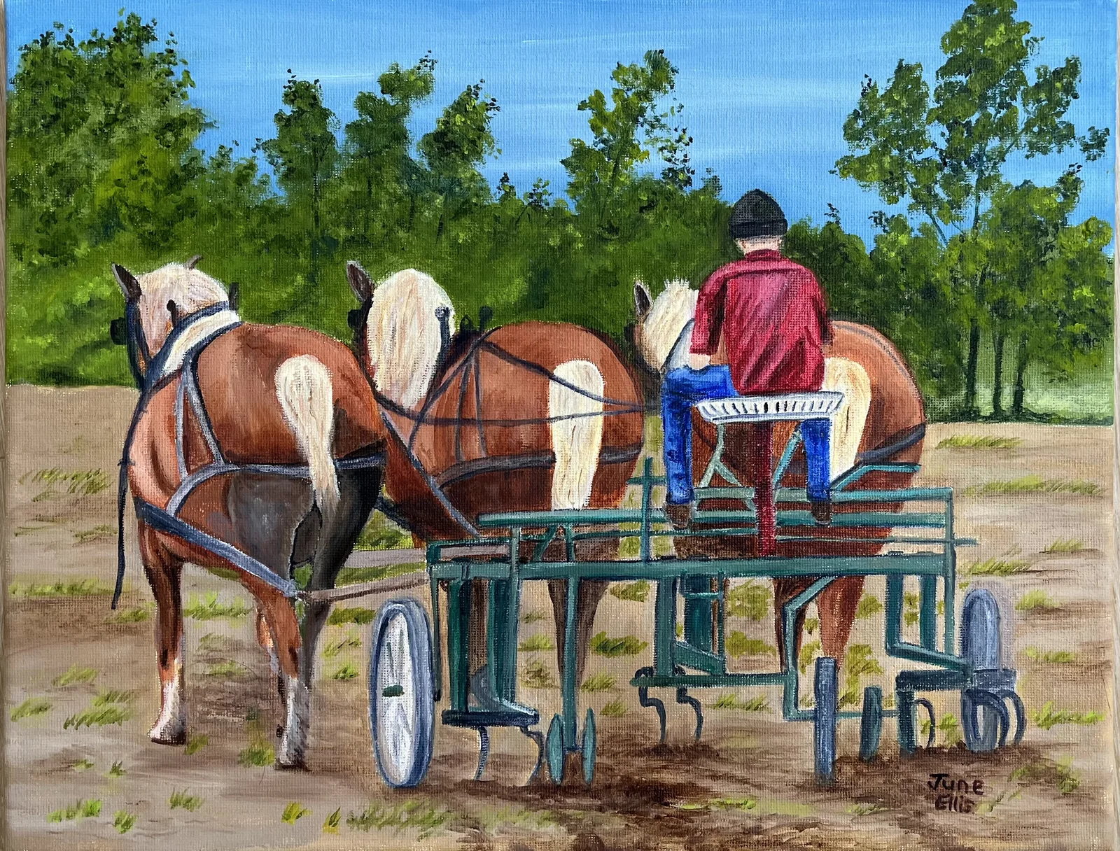 Original oil painting of three horses capturing strength and motion by PEI artist June Ellis