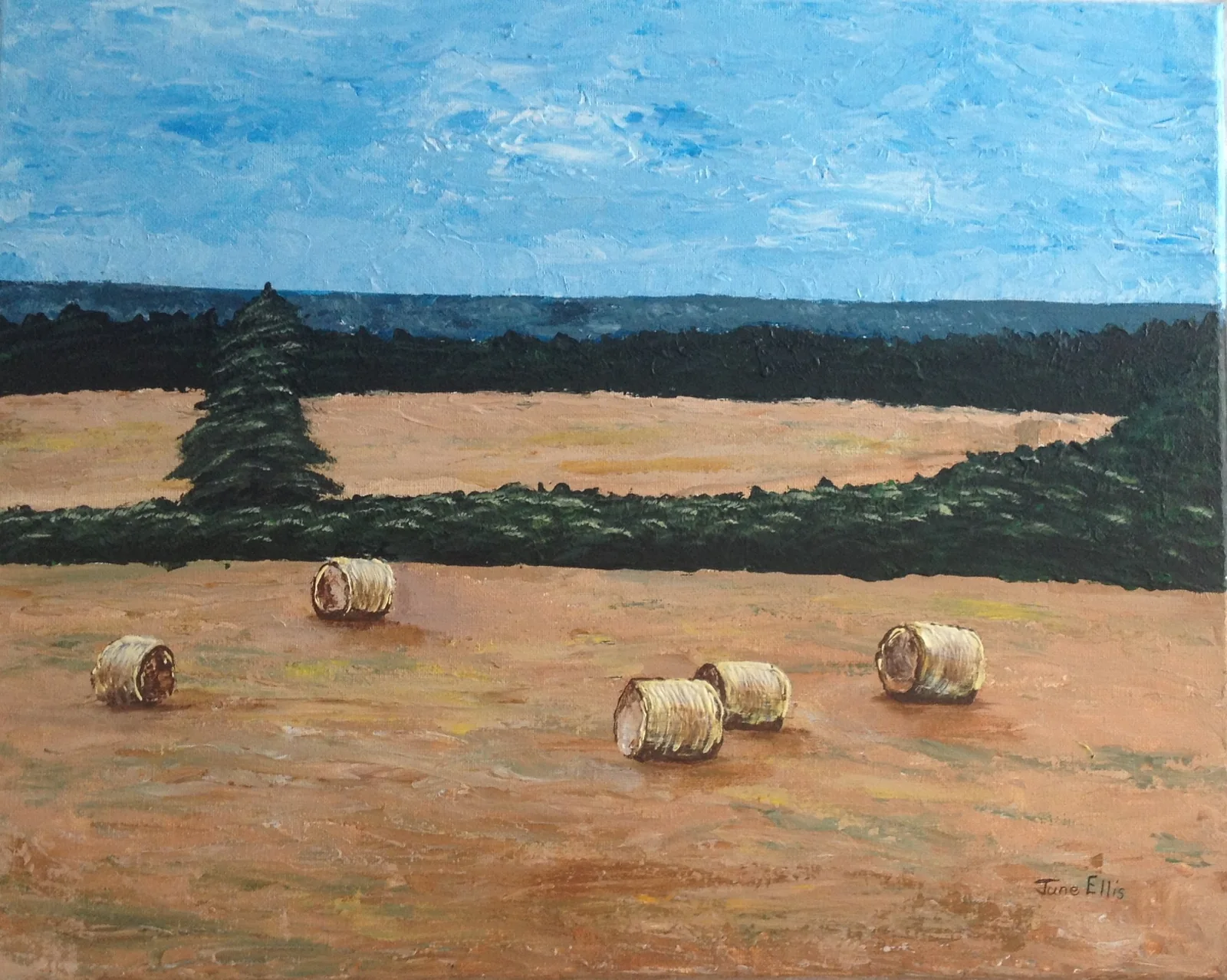 Bales in the Field is an original acrylic painting on 16x20 canvas shows the round bales in the farmer's field