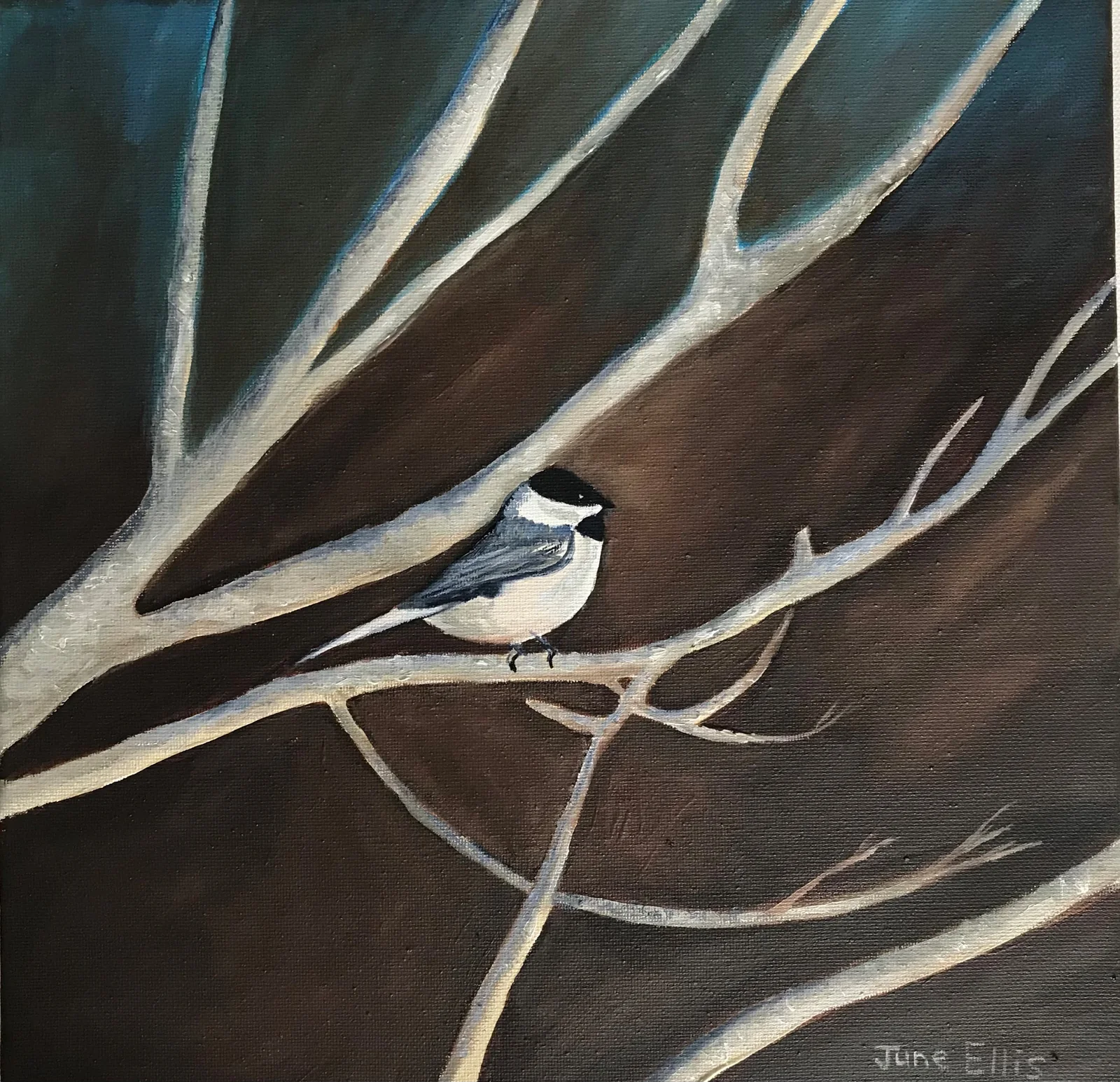 An original 12 x 12 inches oil painting of a little bird perched in the branches by June Ellis PEI Artist