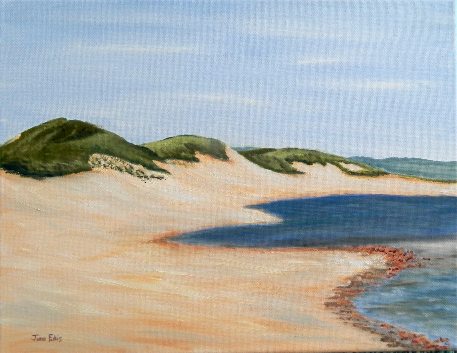 Cavendish Dunes is an original oil painting on 11x14 canvas shows the dunes along the beaches of Prince Edward Island