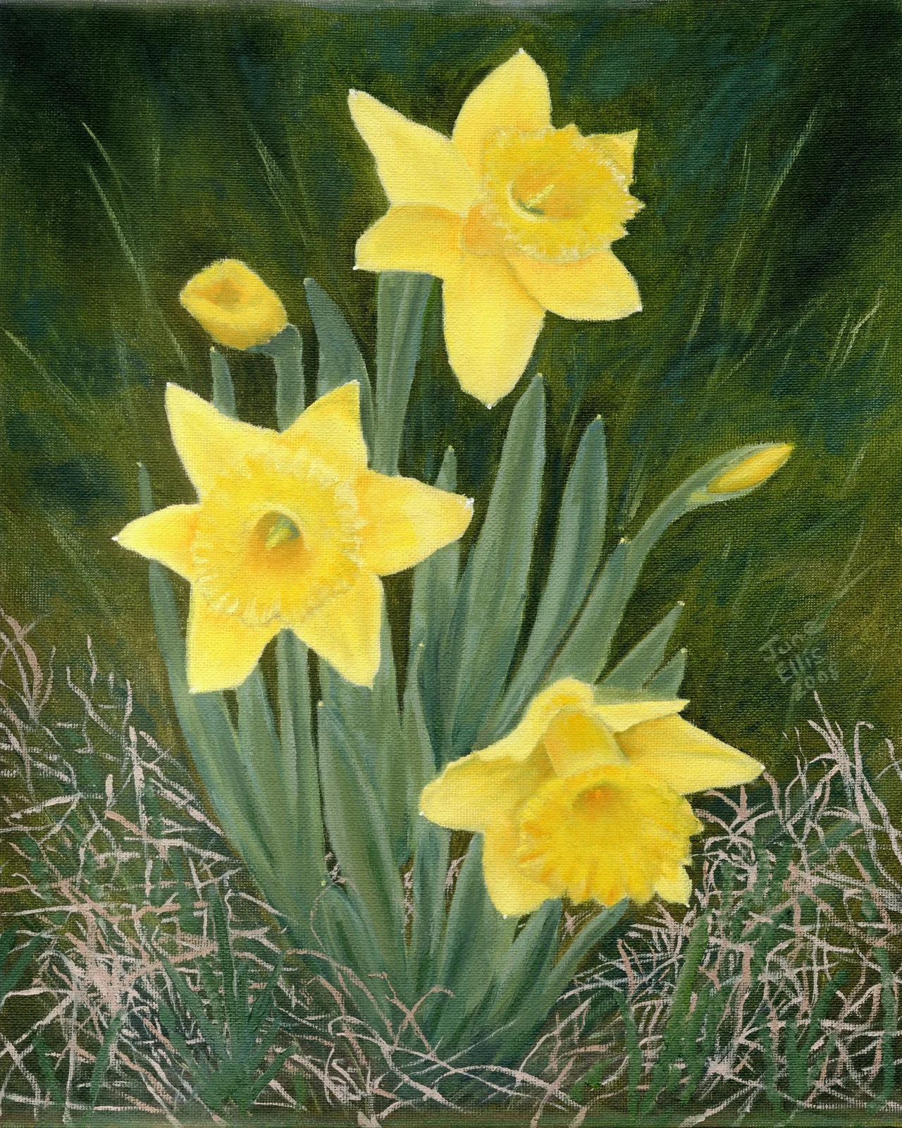 Yellow daffodils in the flowerbed