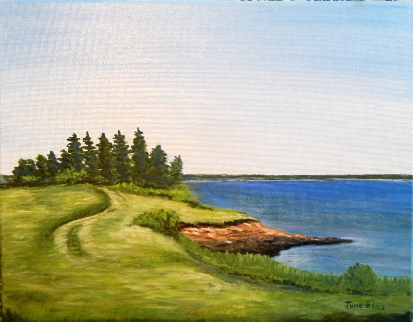Green field near the shore a path running through the field