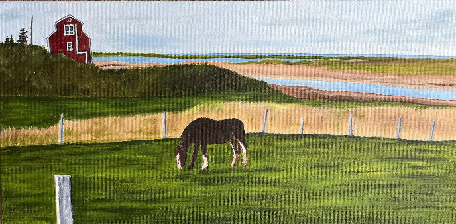 Horse in the field grazing overlooking the seashore