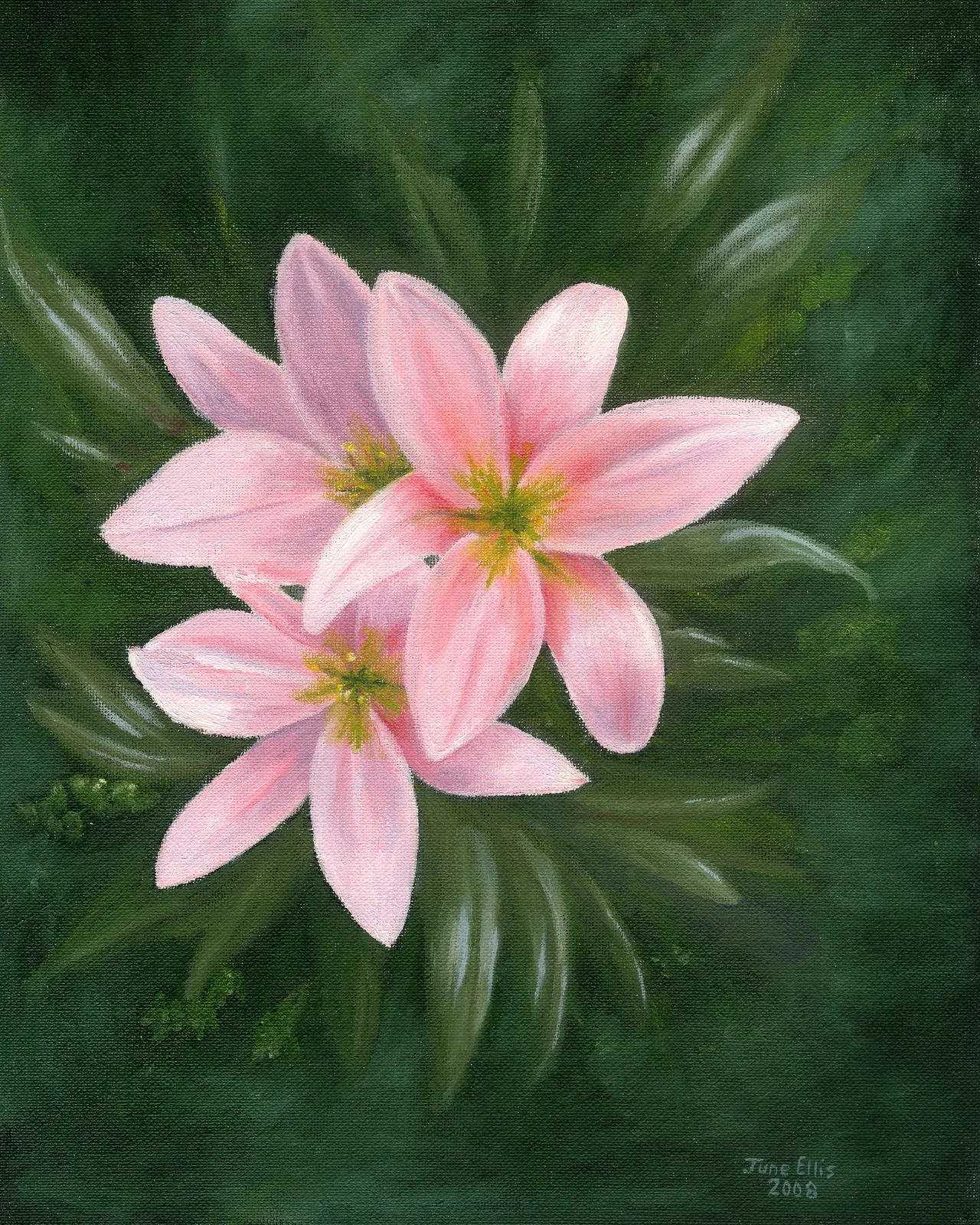 Pink Lilies is an original oil painting on 11x14 canvas shows three pink lilies in a green background