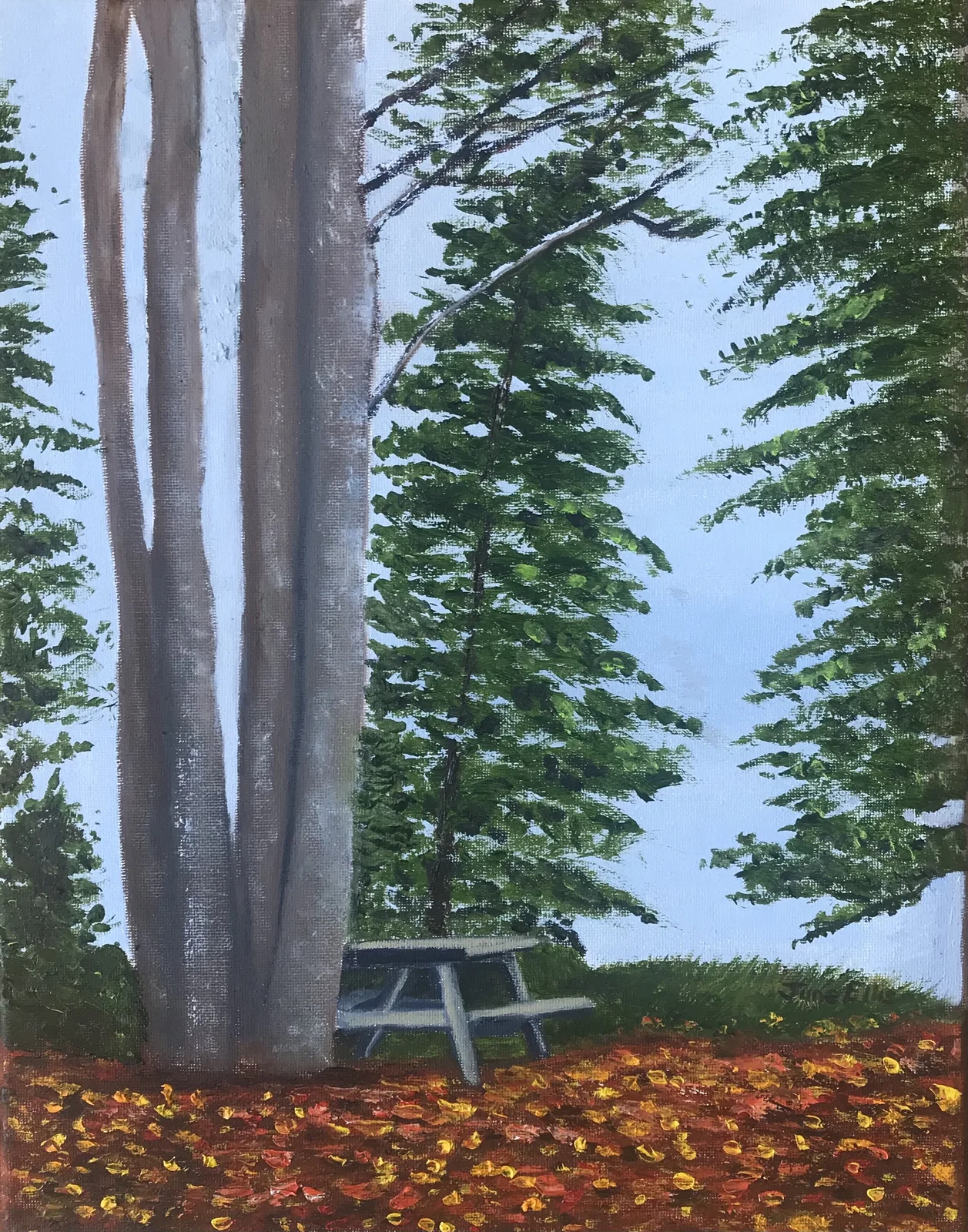 Peaceful landscape oil painting of shaded rest area beneath pine trees by PEI artist June Ellis