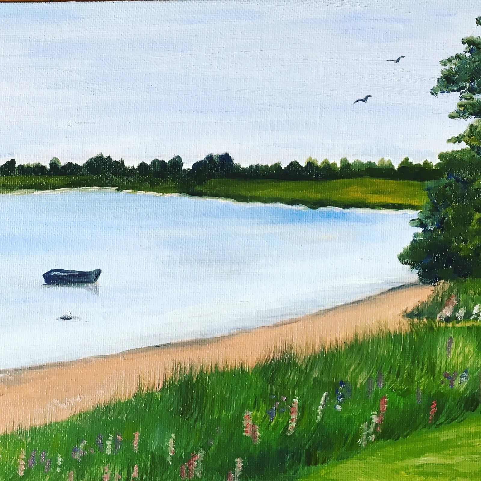 Dory in the water near the shore