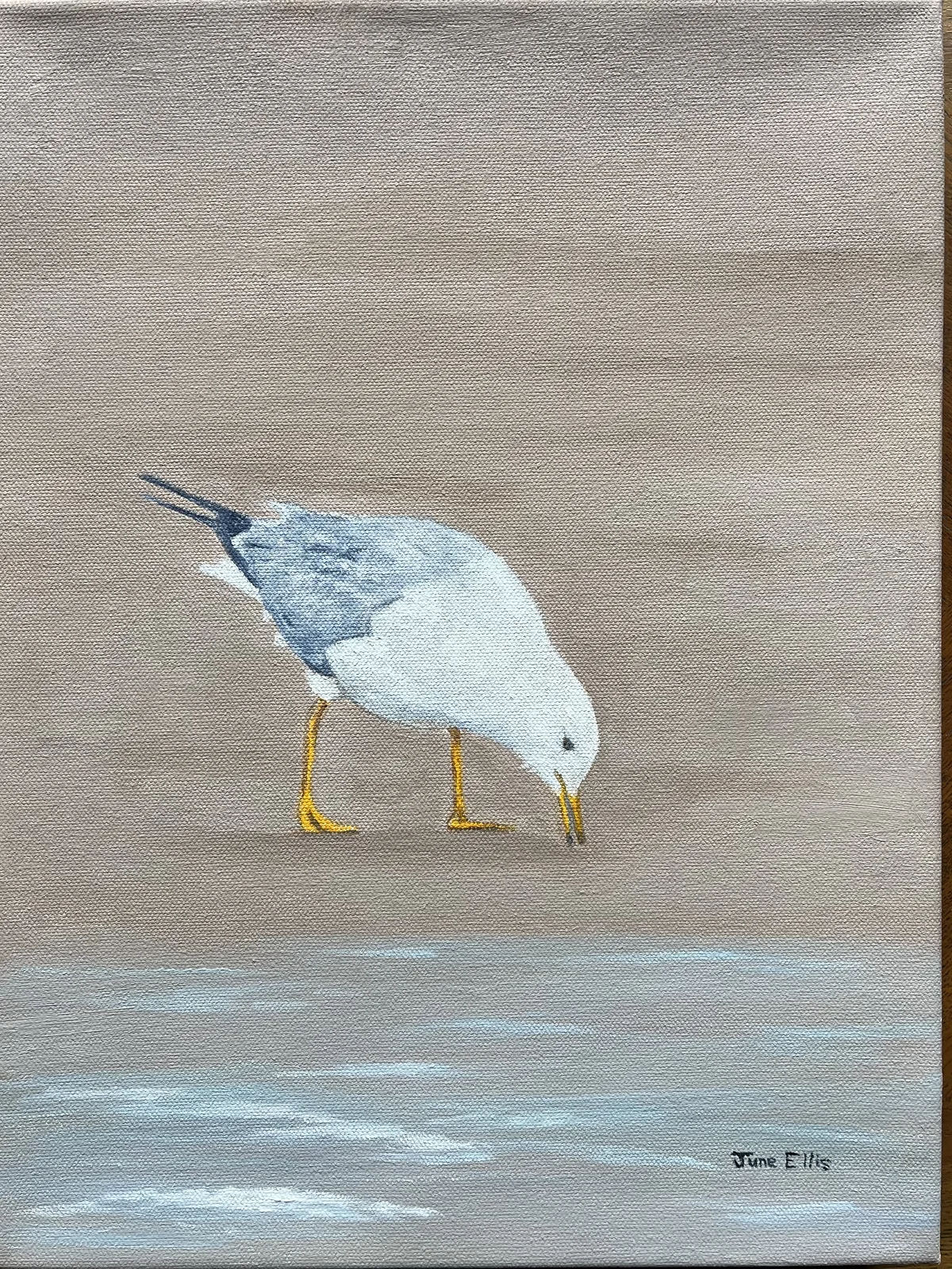 Original seascape oil painting of a seagull on the beach by PEI artist June Ellis
