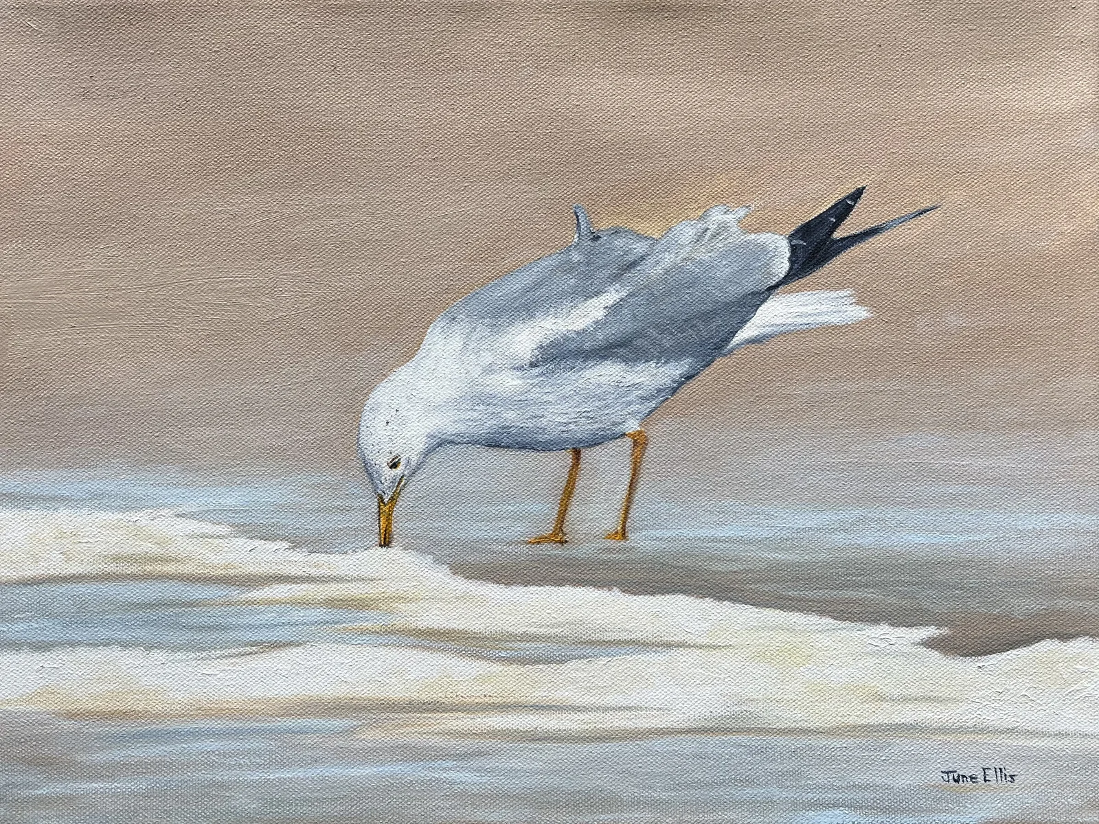 Original seascape oil painting of a seagull on the beach by PEI artist June Ellis